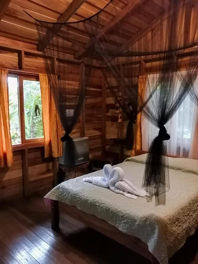 Cataratas Lodge, Incluye Tour Autoguiado Waterfalls Hike Holiday park 2*