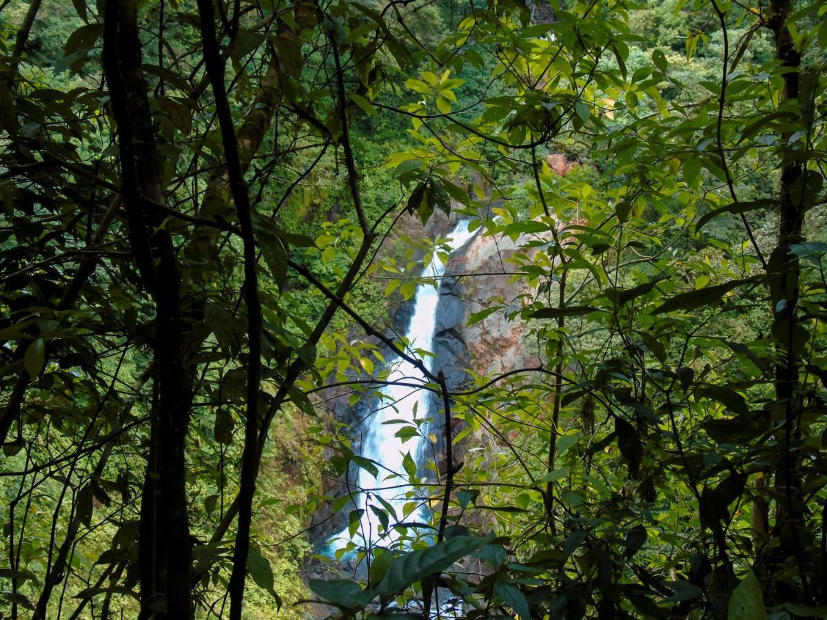 Cataratas Lodge, Incluye Tour Autoguiado Waterfalls Hike 2* Bijagua