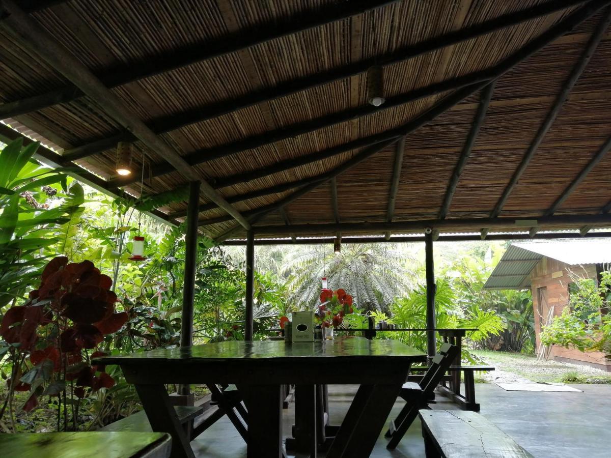 Cataratas Lodge, Incluye Tour Autoguiado Waterfalls Hike Bijagua