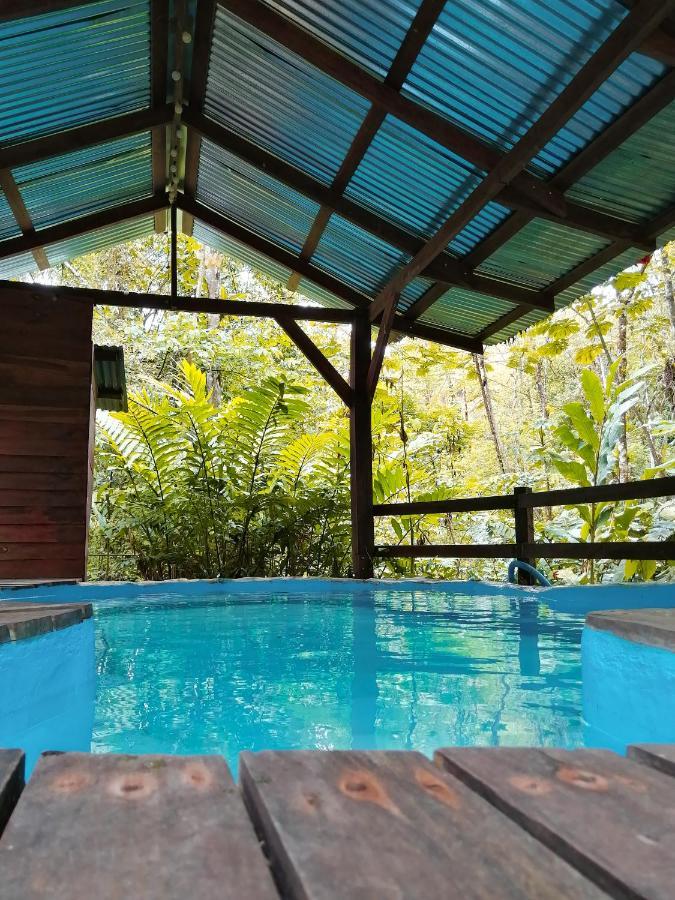 Holiday park Cataratas Lodge, Incluye Tour Autoguiado Waterfalls Hike 2*