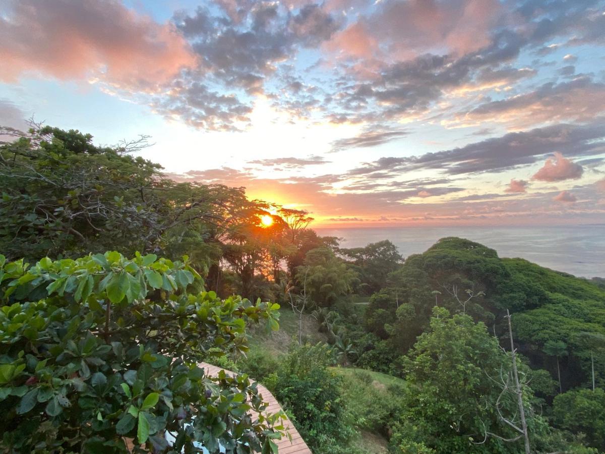 Pacific Edge Eco Dominical