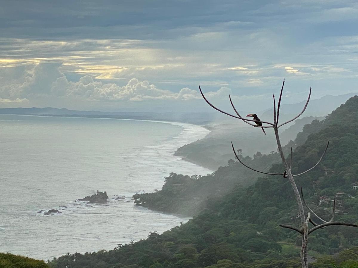 Pacific Edge Eco Bed & Breakfast Dominical