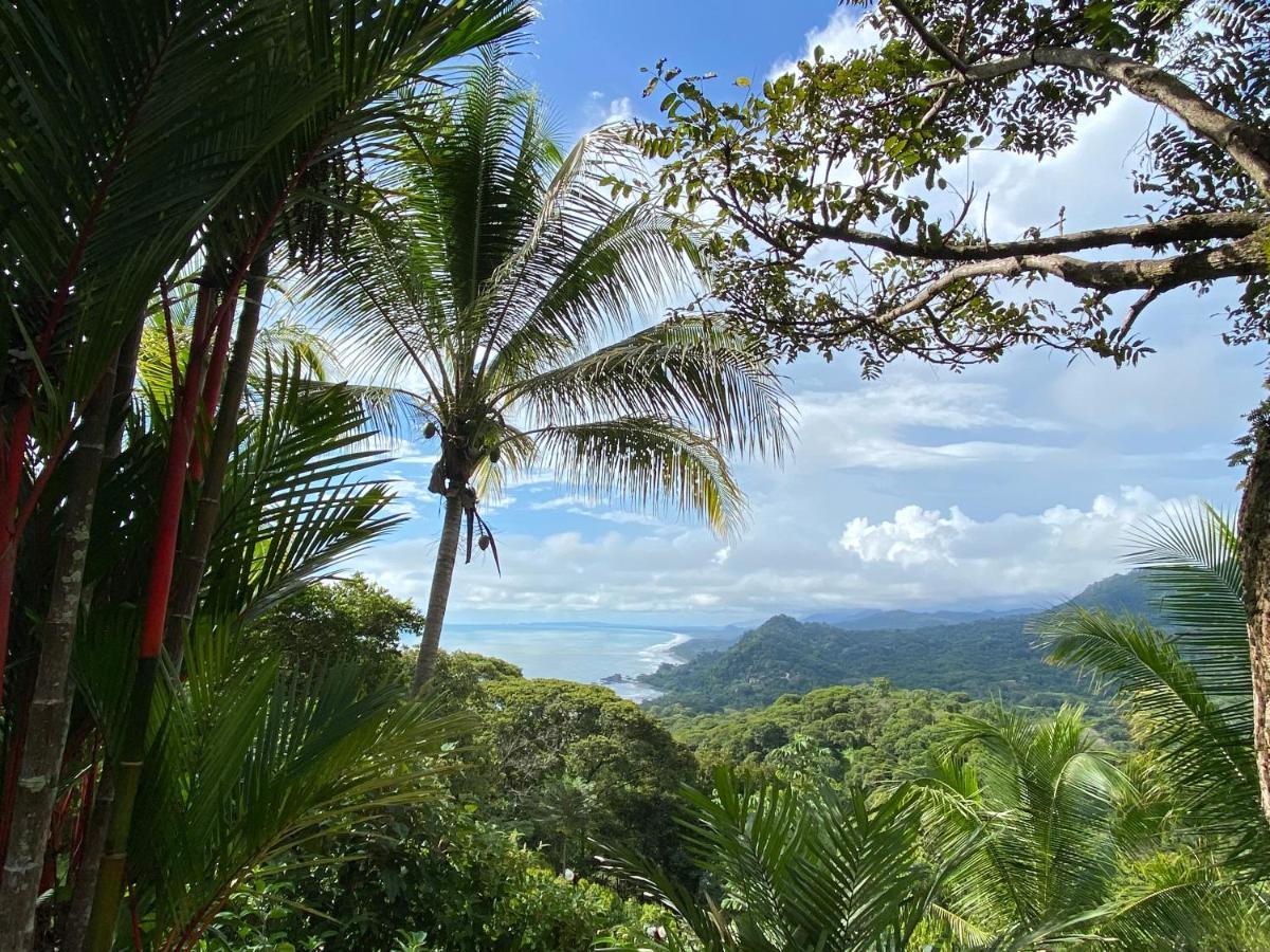 Pacific Edge Eco Dominical