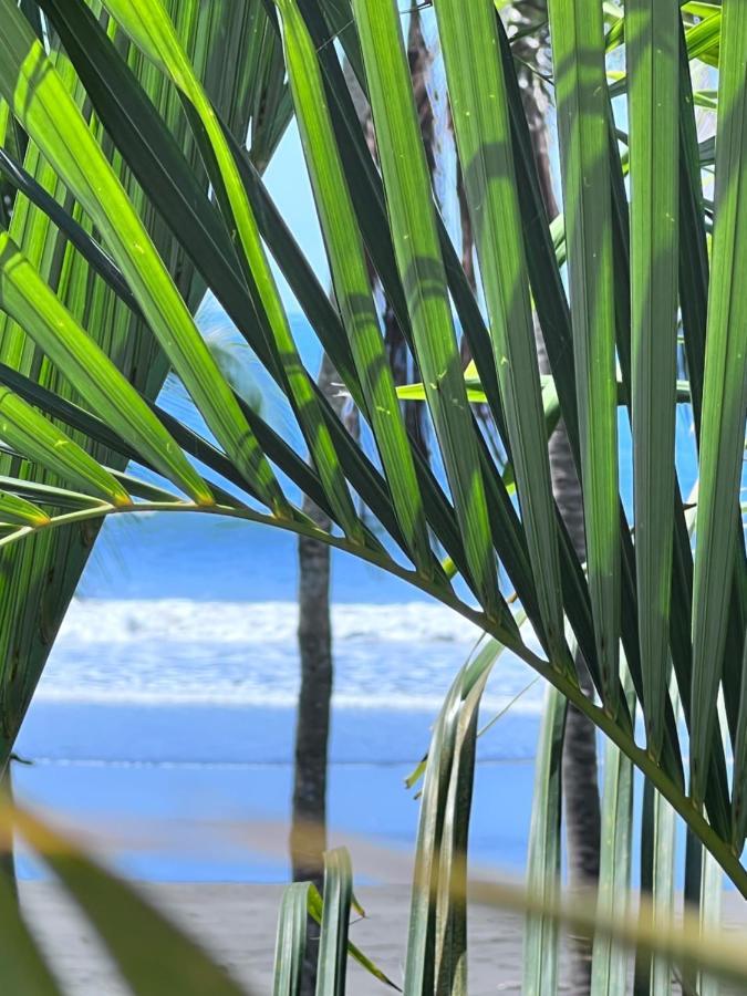 Ola Bonita Beachfront Hotel 3*