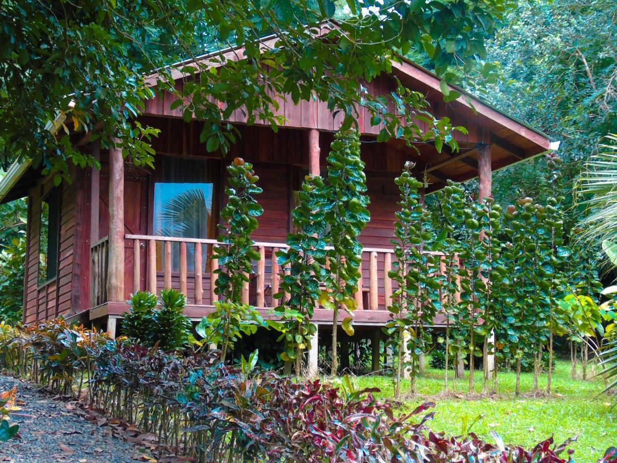 Cataratas Lodge, Incluye Tour Autoguiado Waterfalls Hike 2* Bijagua