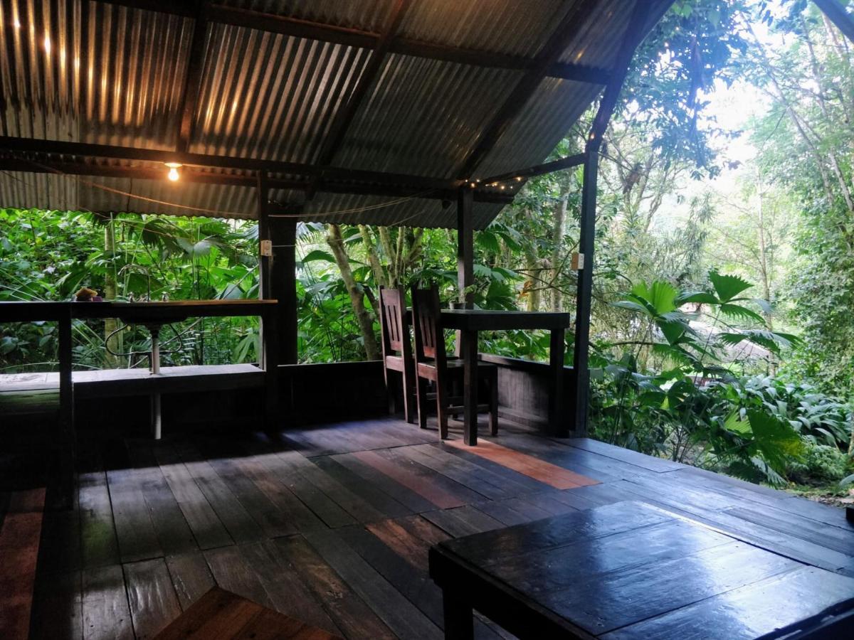 Guest house Mineros Dos Brazos