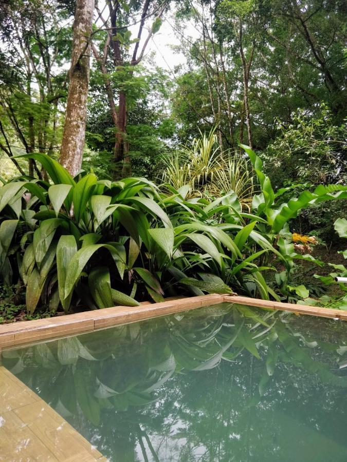 Guest house Mineros Dos Brazos