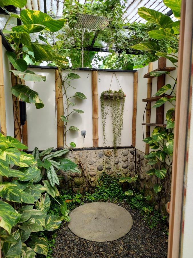Koru Boutique Guest house *
