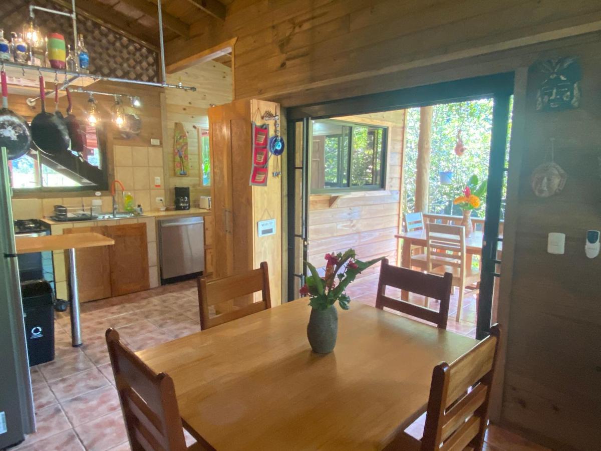 Oasis Retreat With And