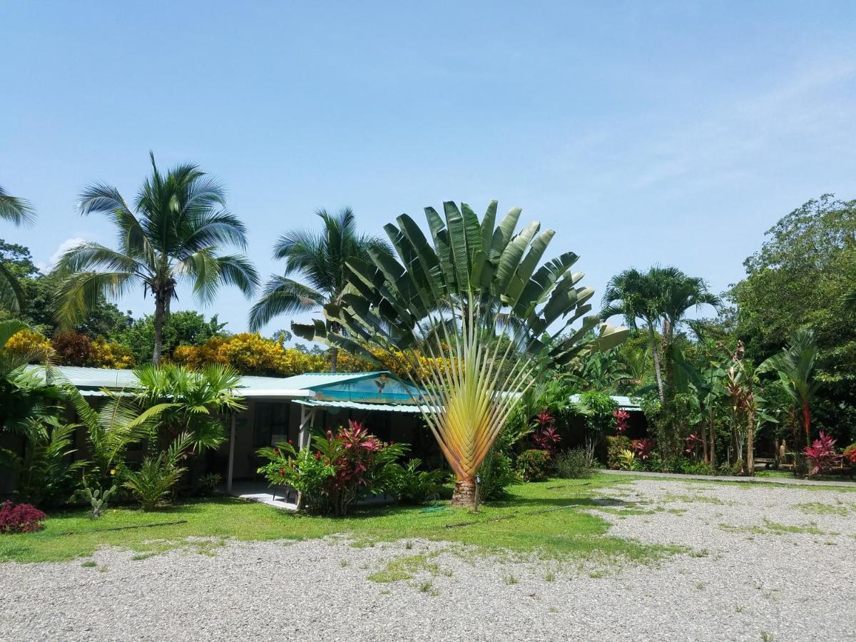 Hotel El Colibri Rojo - Cabinas - Le Colibri Rouge Bed & Breakfast Cahuita
