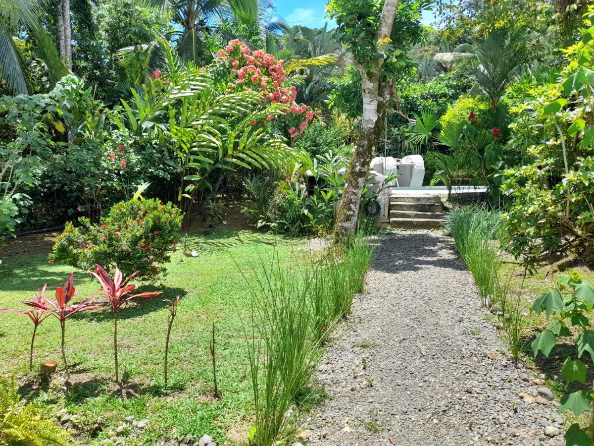 Hotel El Colibri Rojo - Cabinas - Le Colibri Rouge Bed & Breakfast 2*