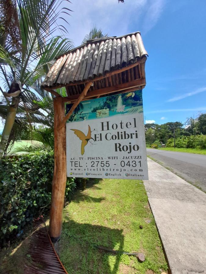 Hotel El Colibri Rojo - Cabinas - Le Colibri Rouge Bed & Breakfast
