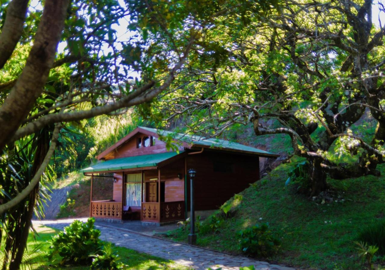 Hotel Heliconia - 4*