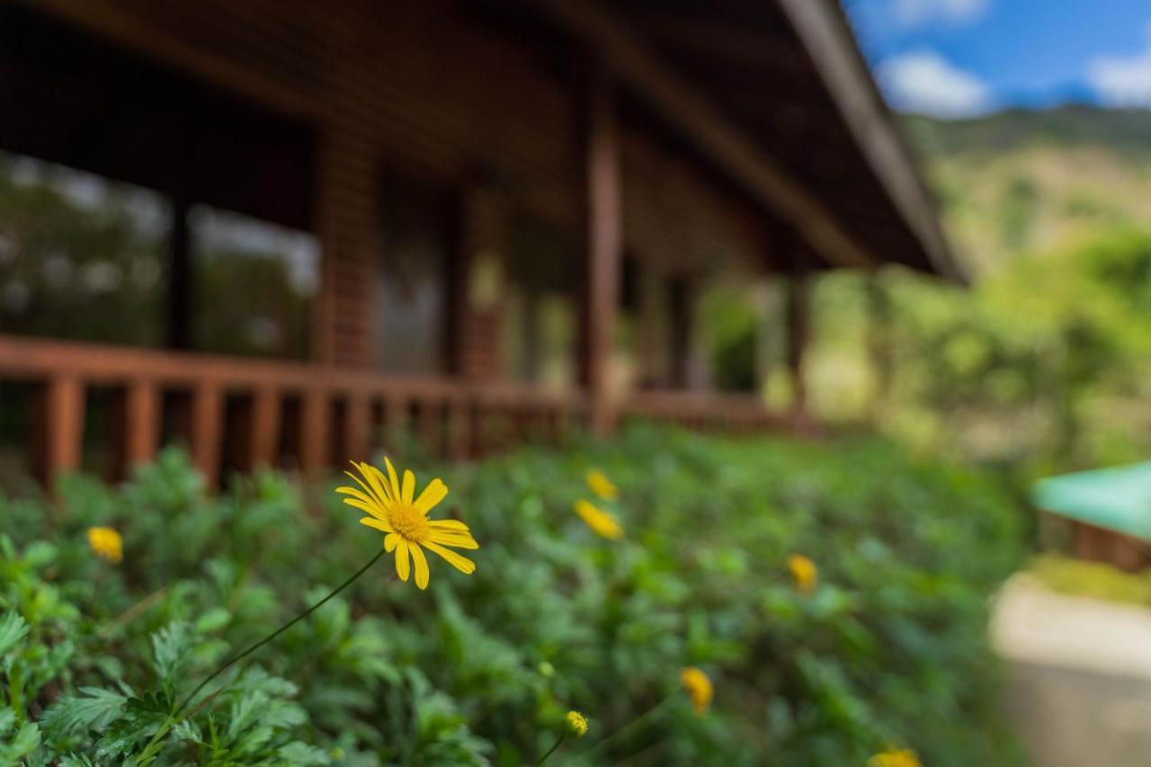 Cedrela Eco-lodge & Restaurante Lodge Copey