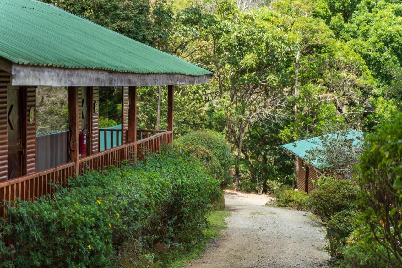 Cedrela Eco-lodge & Restaurante Lodge *
