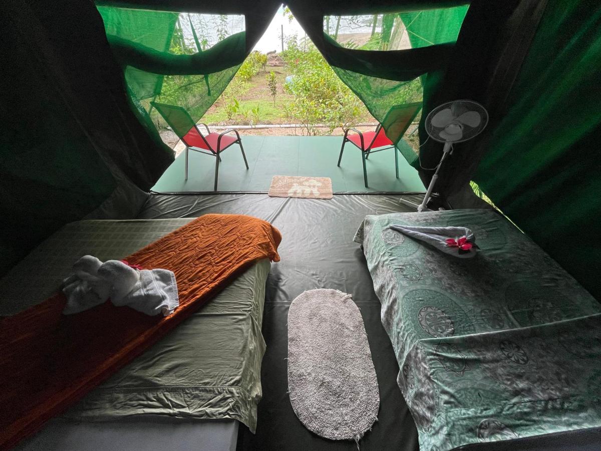 Corcovado Adventures Hostel