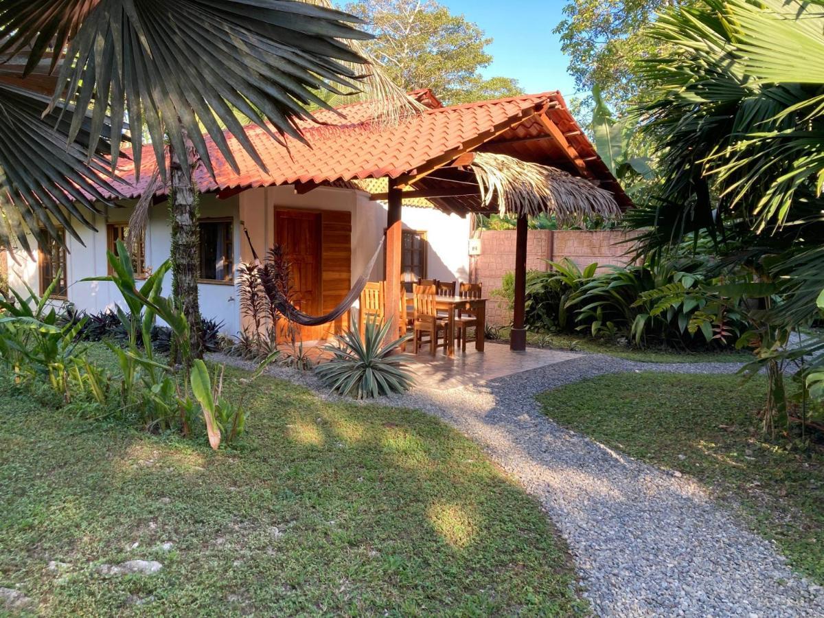 Pura Vida Vegana Resort *