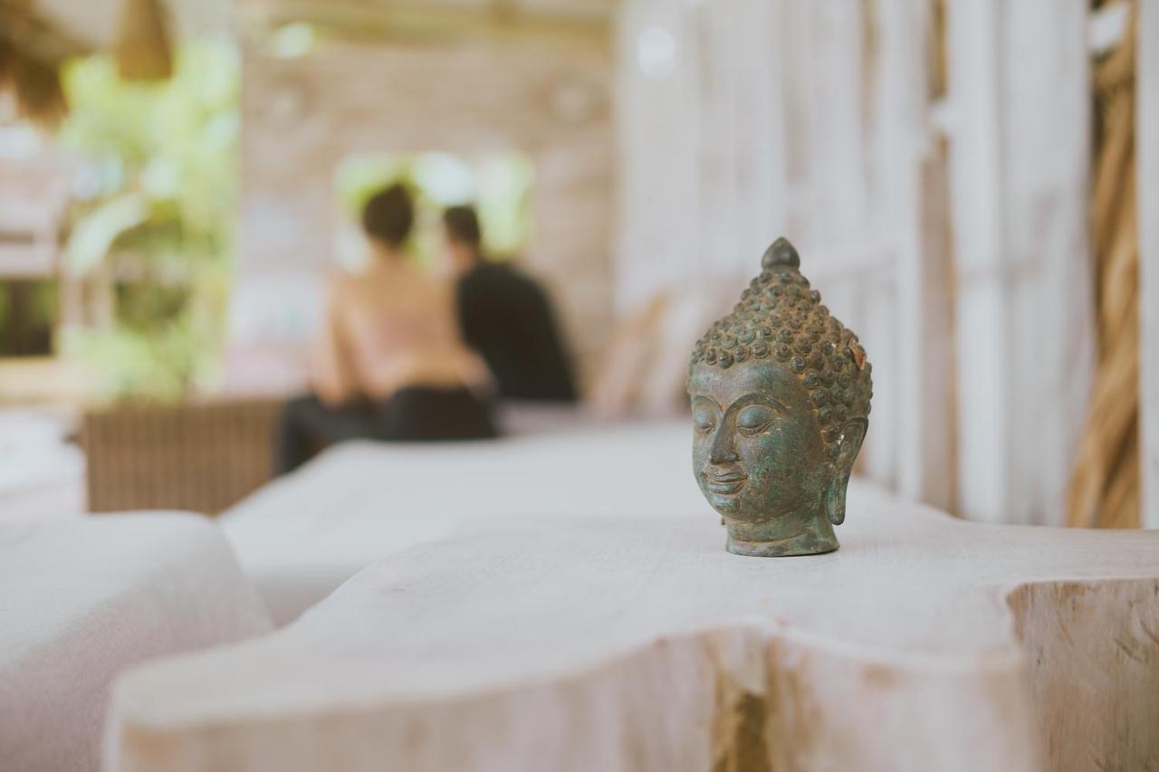 Sonora Jungle & Yoga Retreat Lodge *