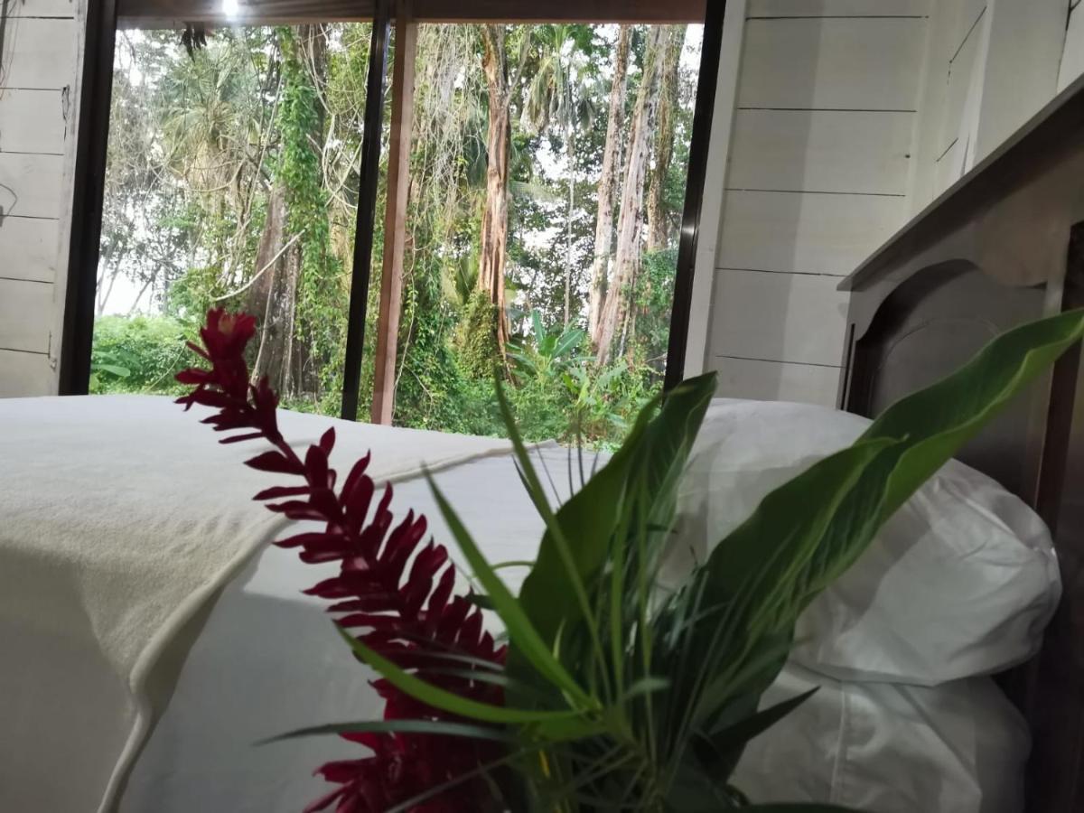 Hostel Cecilia *