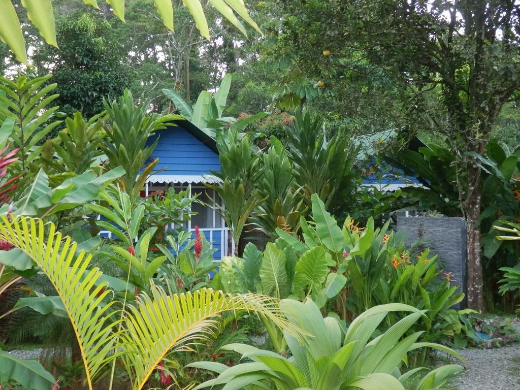 Casitas Mar Y Luz Puerto Viejo de Talamanca