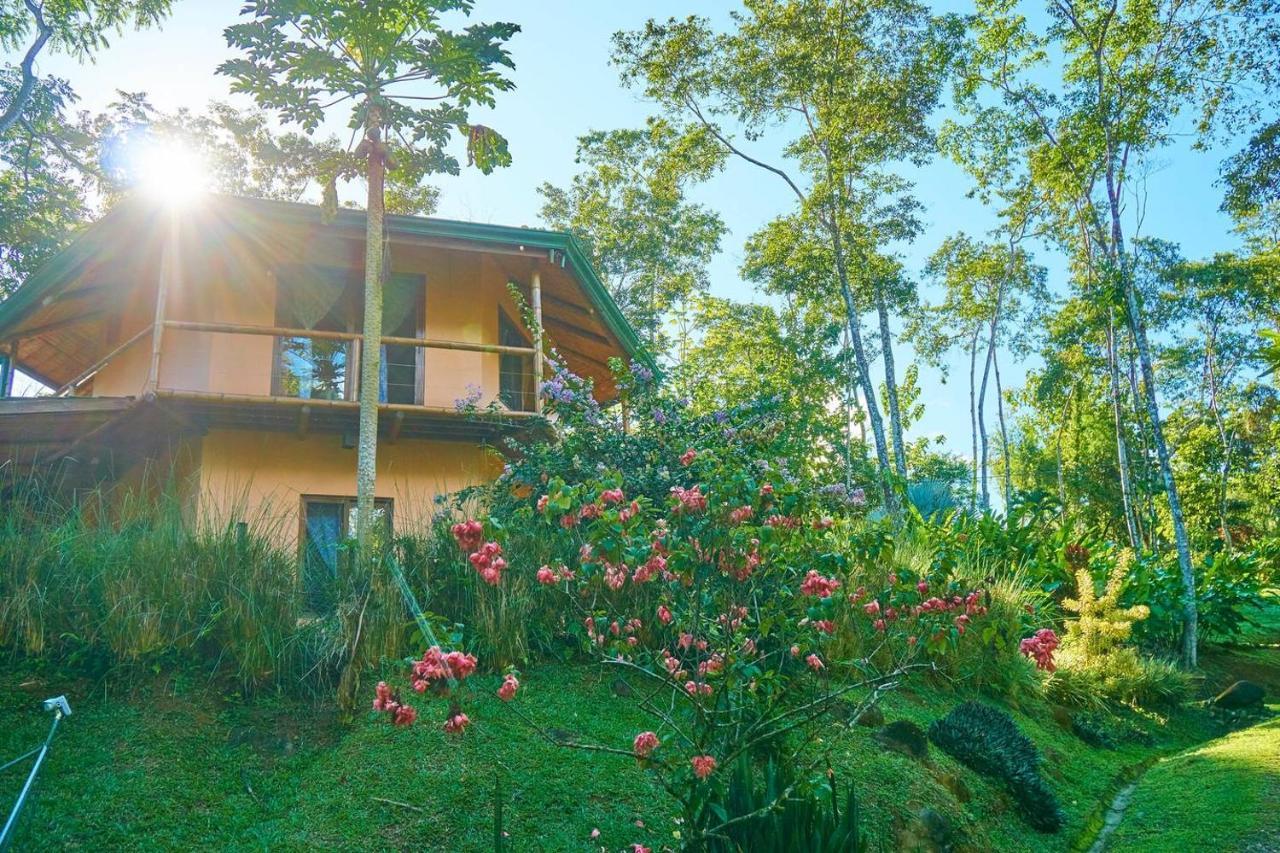 Manoas Luxury Camping And Rentals