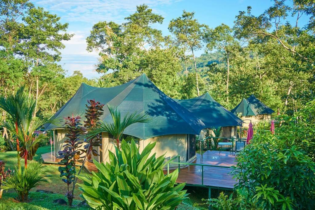 Manoas Luxury Camping And Rentals Bed & Breakfast Uvita