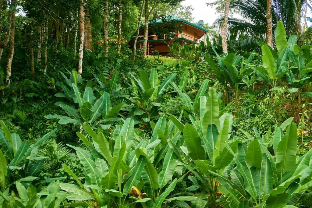 Manoas Luxury Camping And Rentals 3*