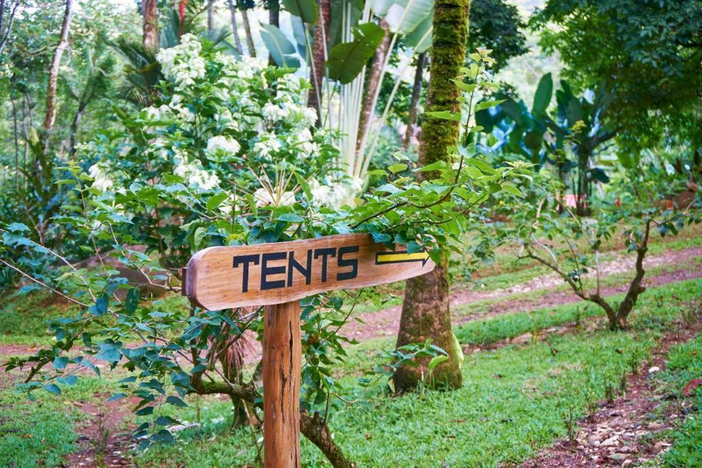 Manoas Luxury Camping And Rentals 3* Uvita