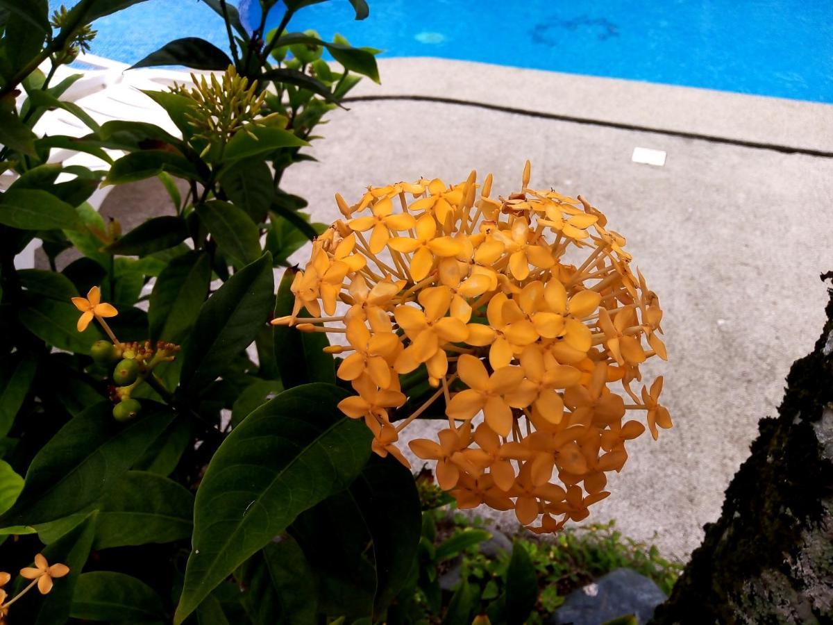 Bed & Breakfast La Diosa 4*