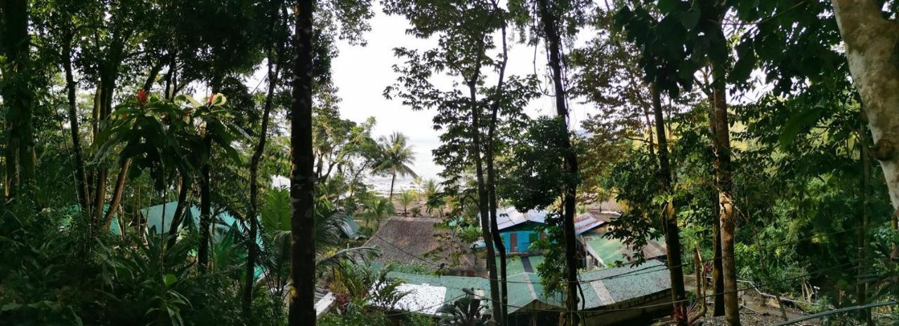 Hostel Corcovado Adventures Drake Bay