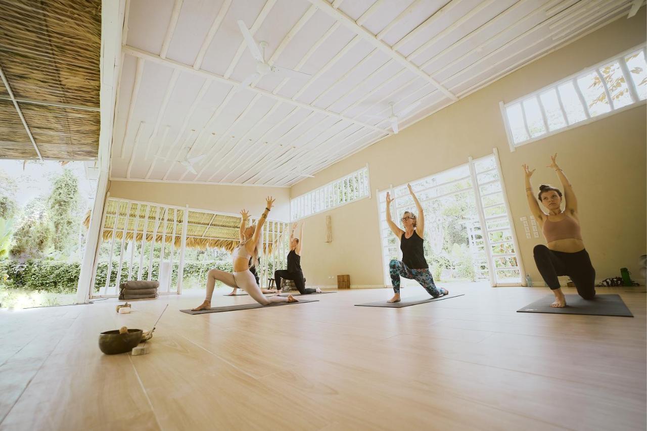 Sonora Jungle & Yoga Retreat