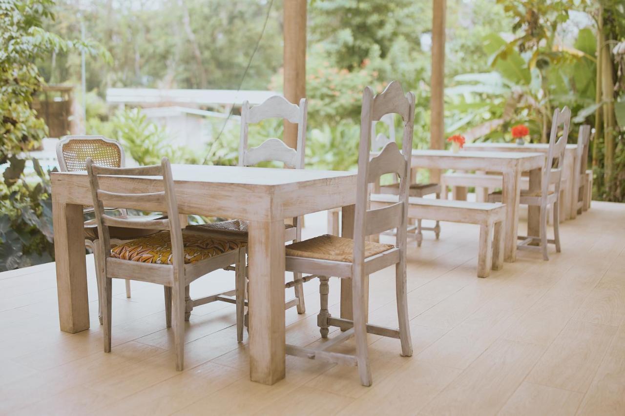 Sonora Jungle & Yoga Retreat Lodge