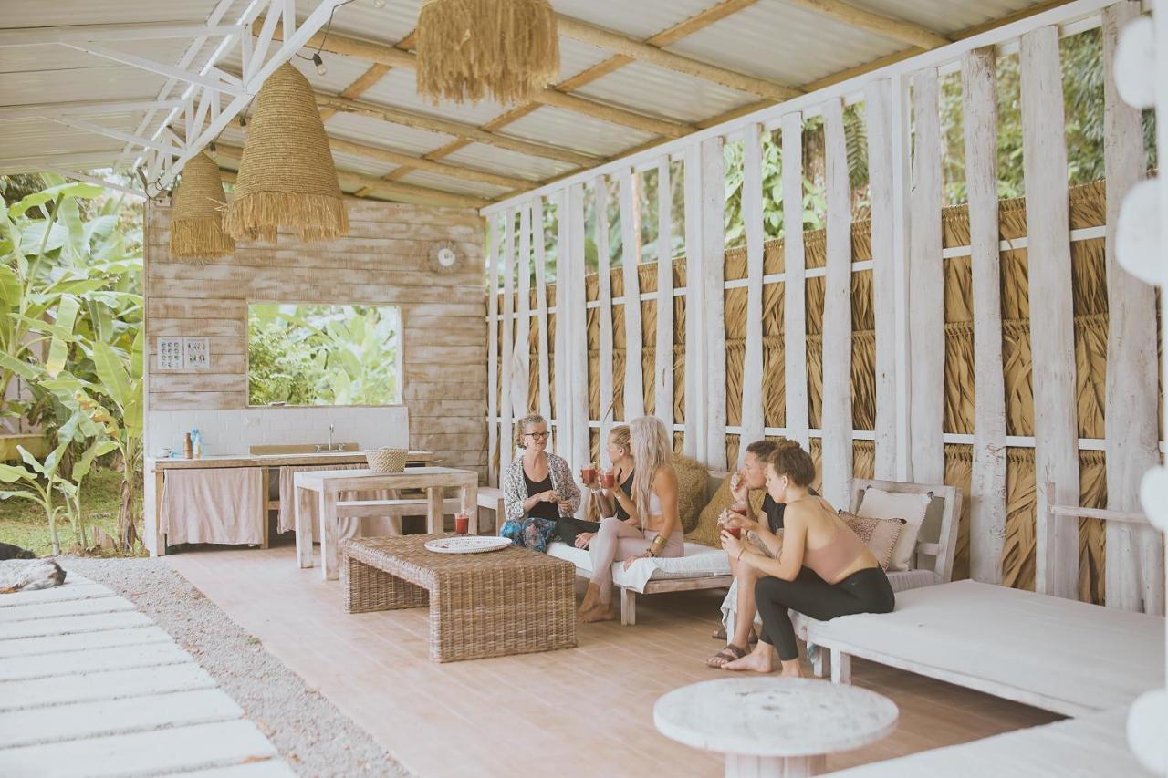 Sonora Jungle & Yoga Retreat Lodge