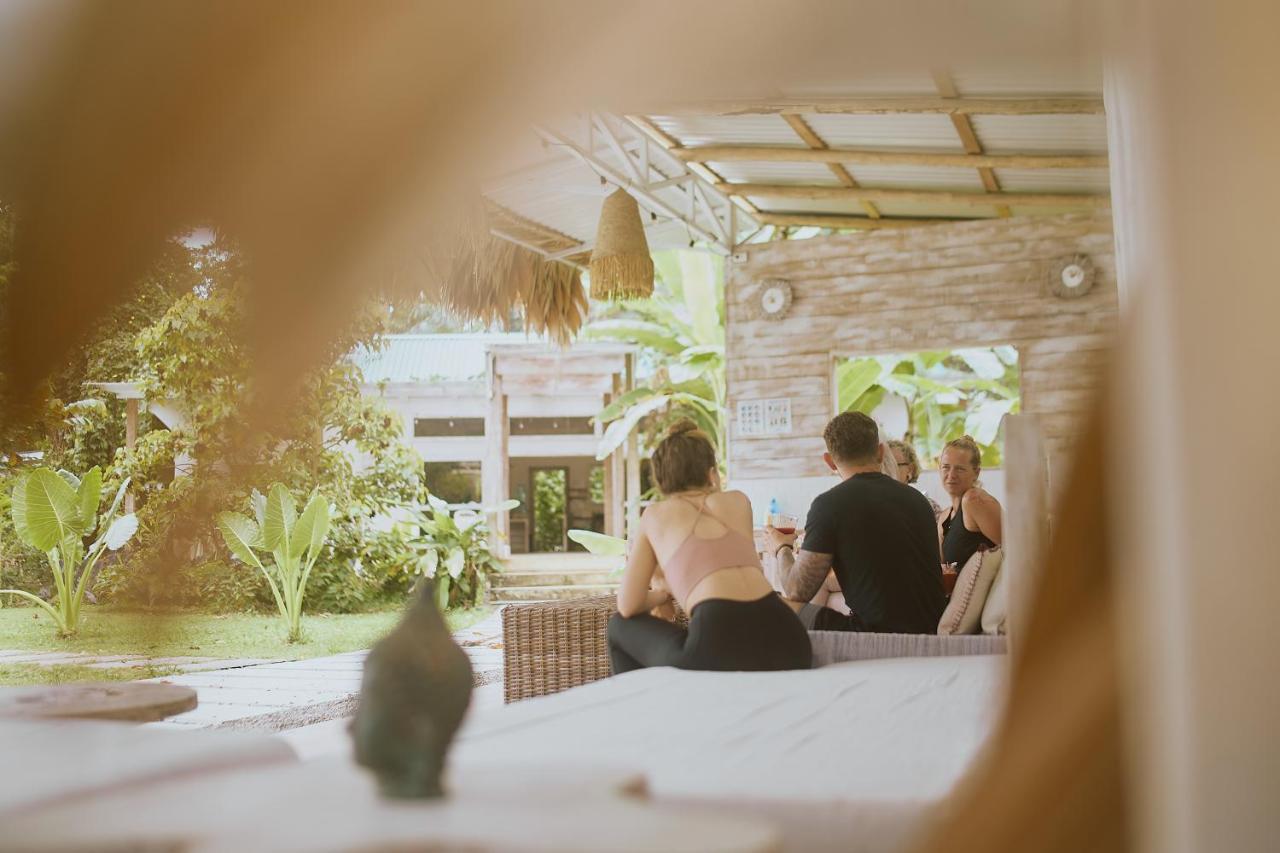 Sonora Jungle & Yoga Retreat Lodge
