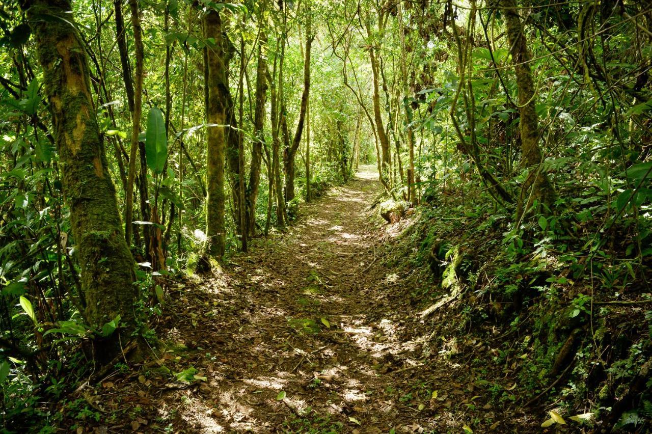Talamanca Nature Reserve 5* Rivas