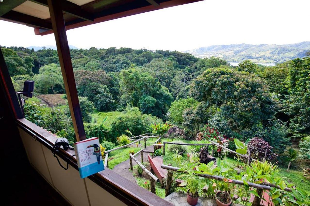 Toucan Lane And Restaurant * Nuevo Arenal