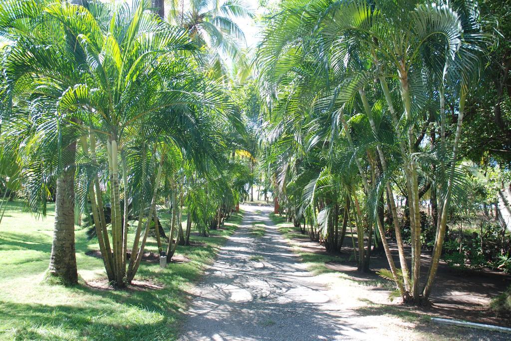 Hotel Beso Del Viento (adults Only) 3*