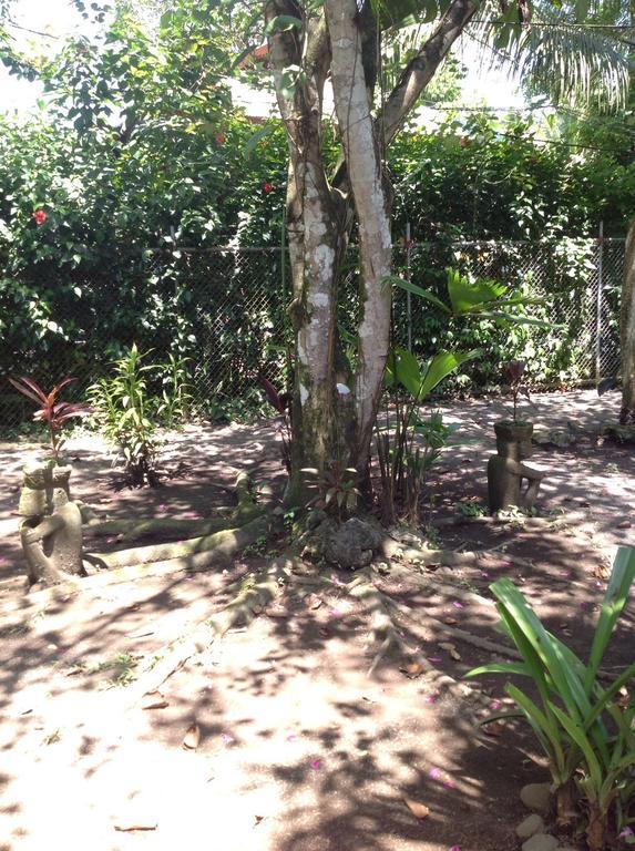 Morpheus Exotica Hotel Puerto Viejo de Talamanca