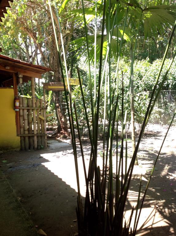 Hotel Morpheus Exotica 2*