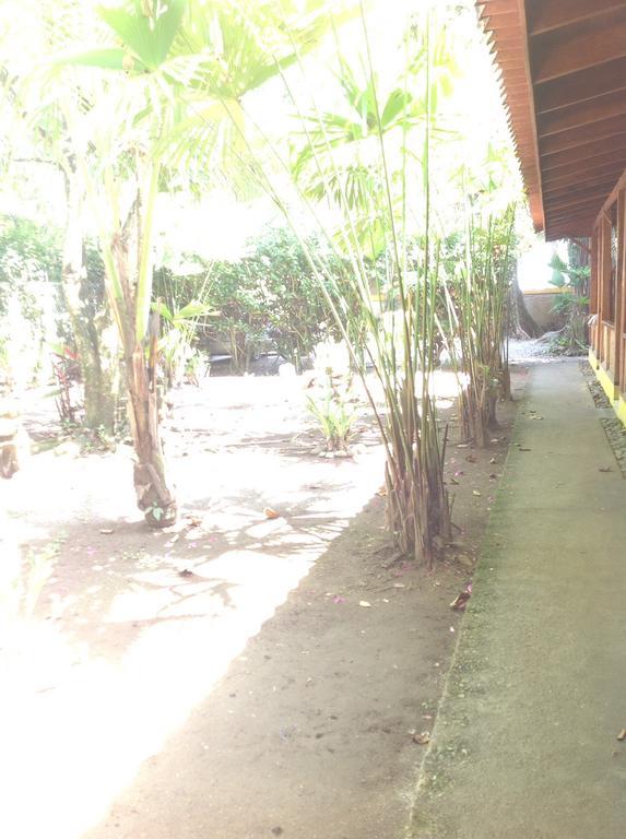Hotel Morpheus Exotica