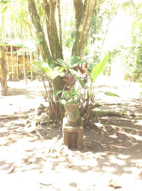 Morpheus Exotica Puerto Viejo de Talamanca