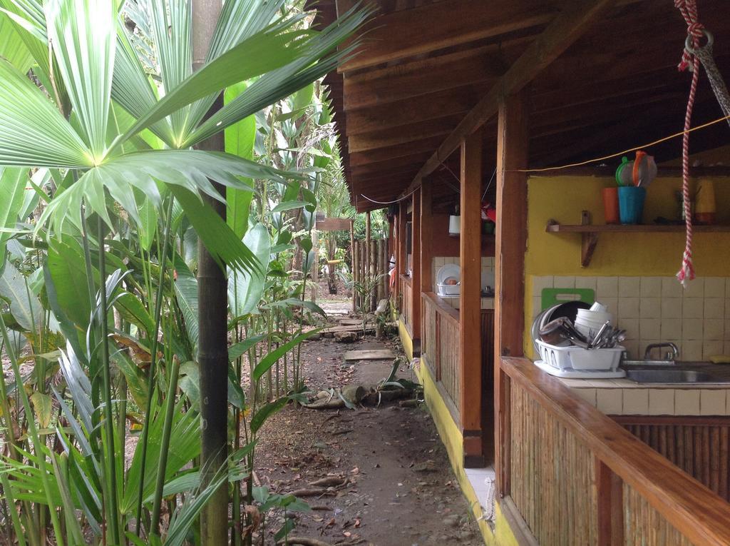 Hotel Morpheus Exotica