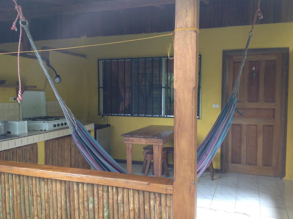 Morpheus Exotica Puerto Viejo de Talamanca