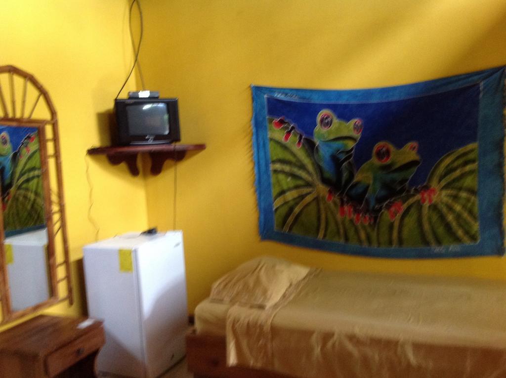 Morpheus Exotica Puerto Viejo de Talamanca