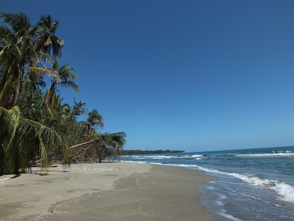 Cabinas Caribe Luna Lodge *