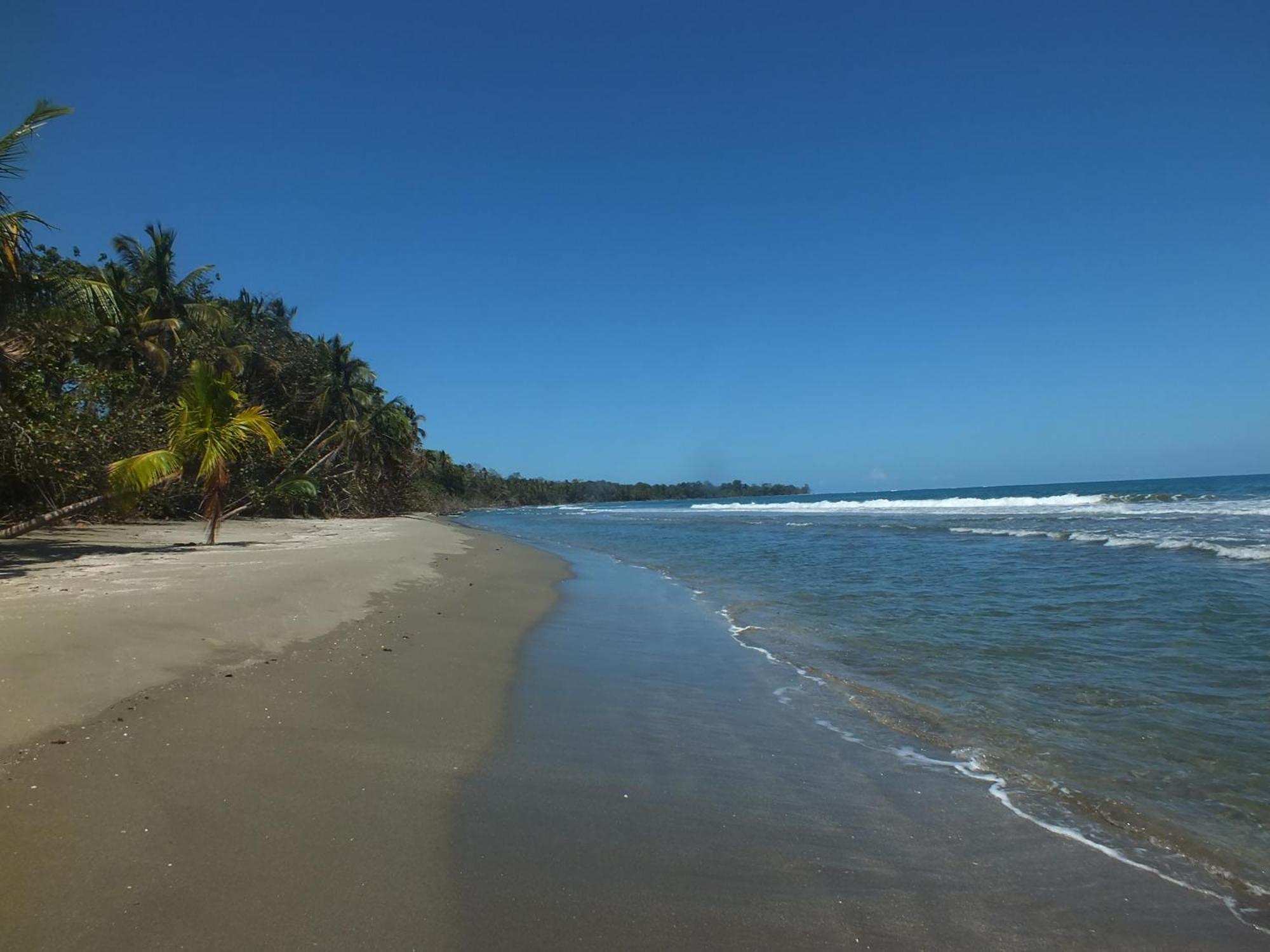 Lodge Cabinas Caribe Luna Cahuita
