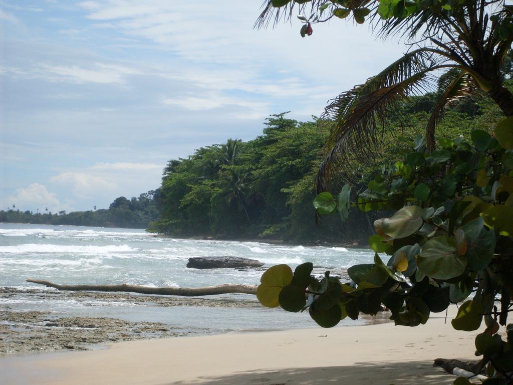Casitas Mar Y Luz Lodge Puerto Viejo de Talamanca