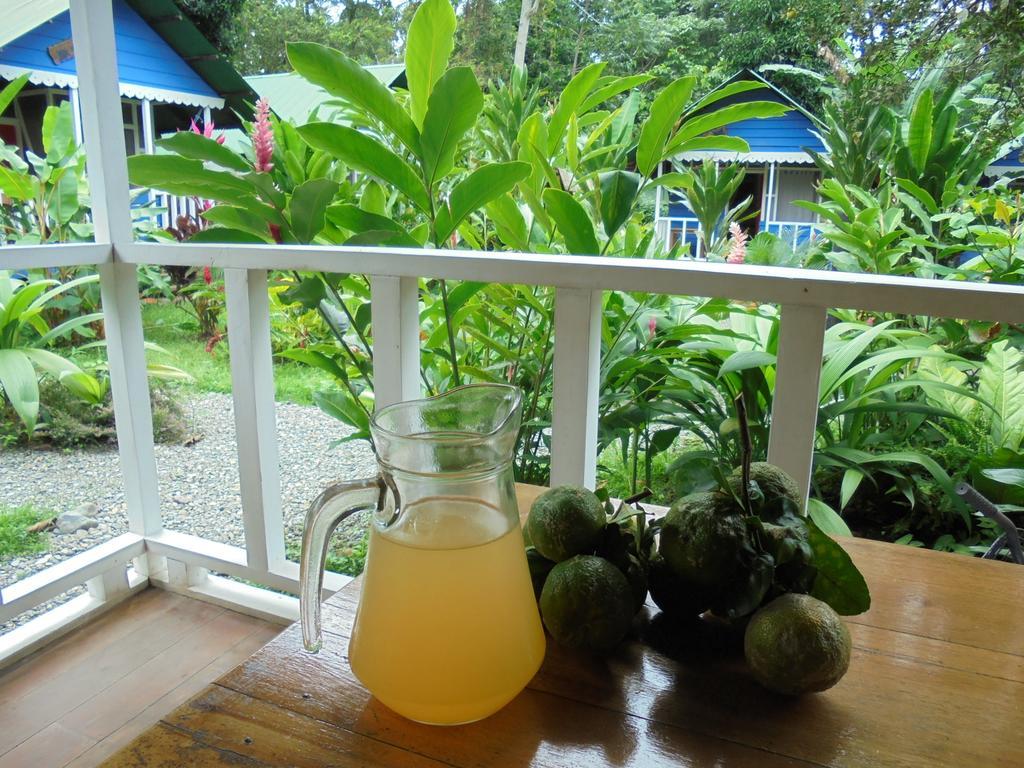 Lodge Casitas Mar Y Luz *