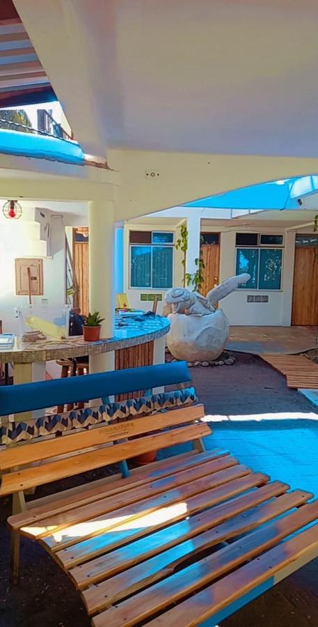 Pura Natura Beachfront Guest house Tortuguero