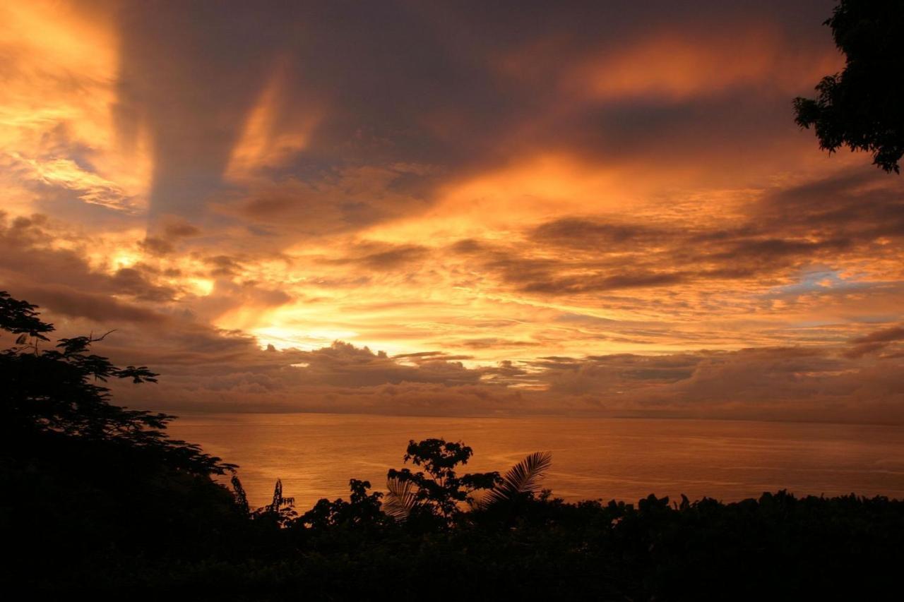 Vista Hermosa - With Breathtaking Ocean View & Wifi